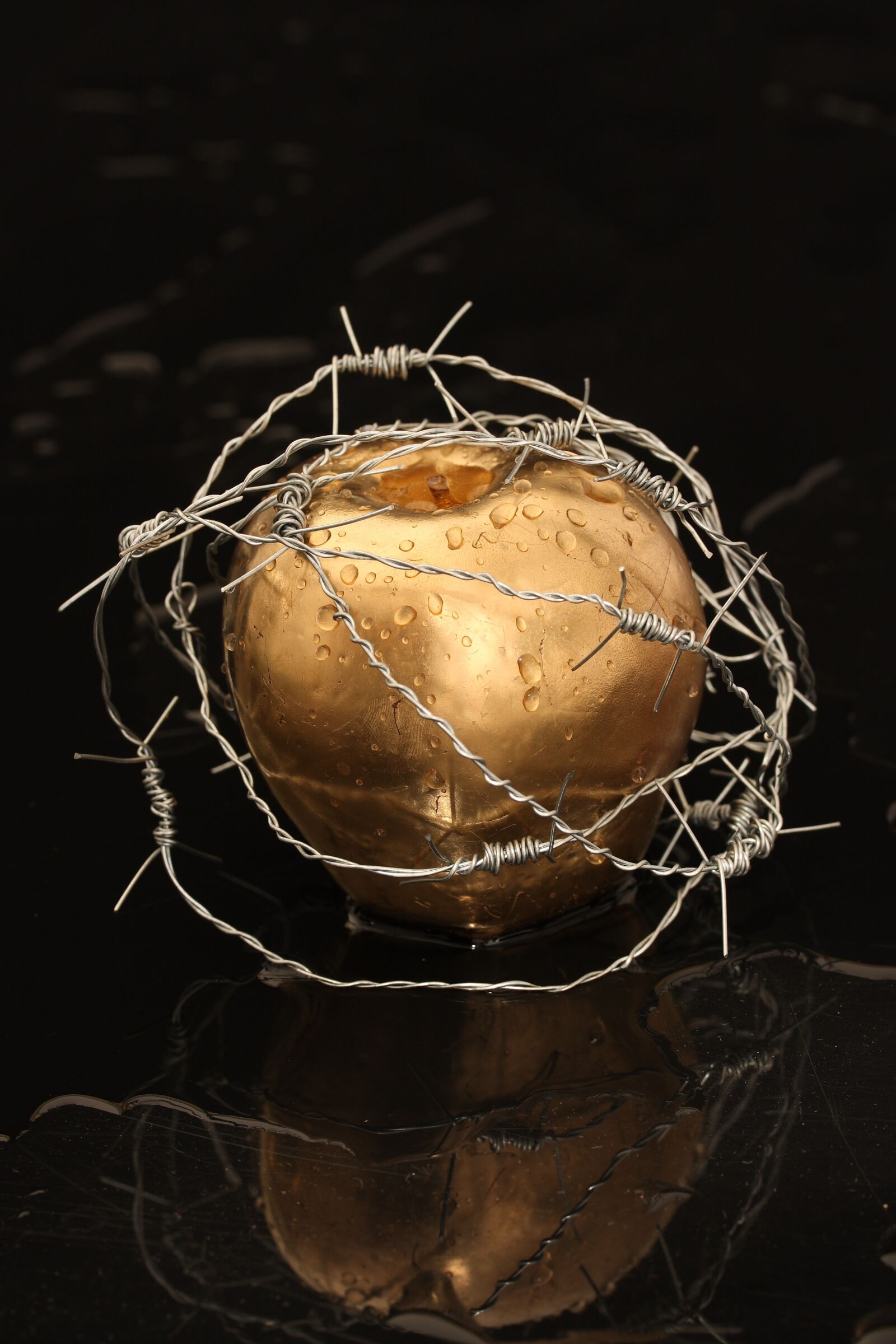 Canon EOS 40D sample photo. Apple, bondage, paradise photography