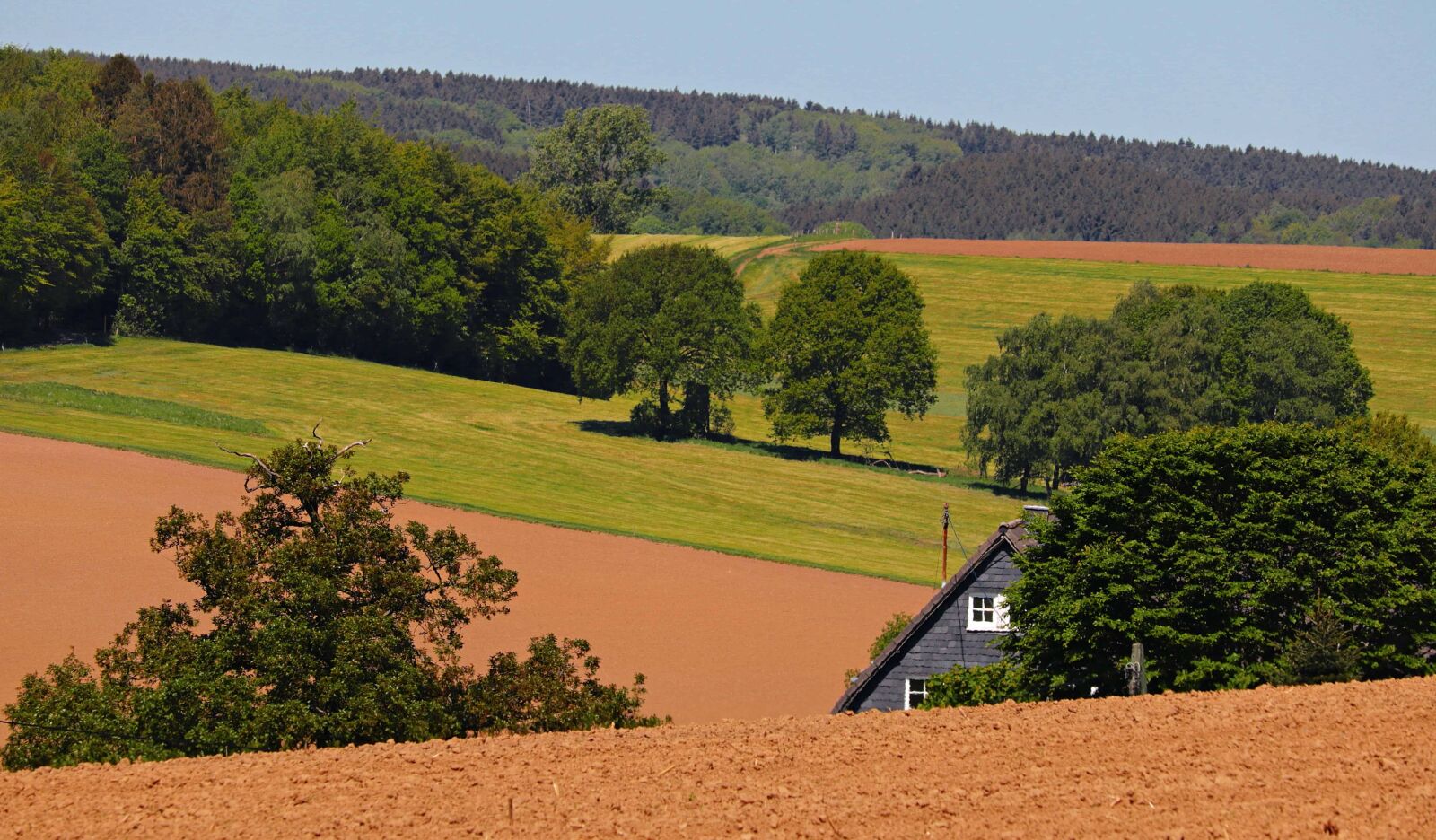 Canon EOS 80D sample photo. Daylight, hill, tree, agriculture photography