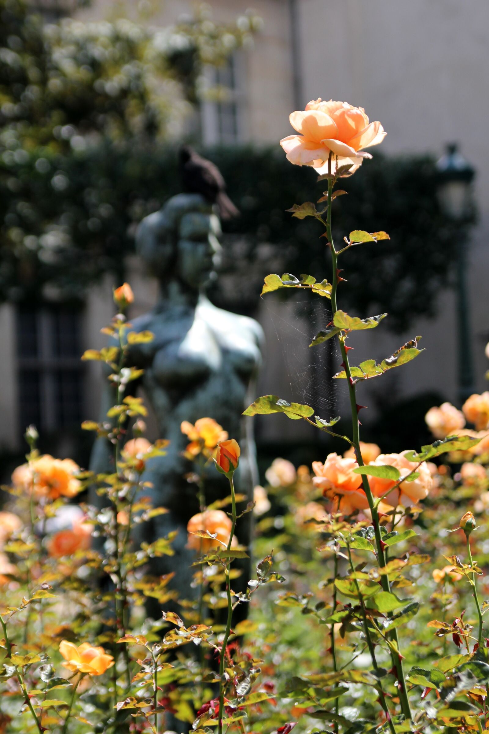 Canon EOS 550D (EOS Rebel T2i / EOS Kiss X4) sample photo. Paris, statue, france photography