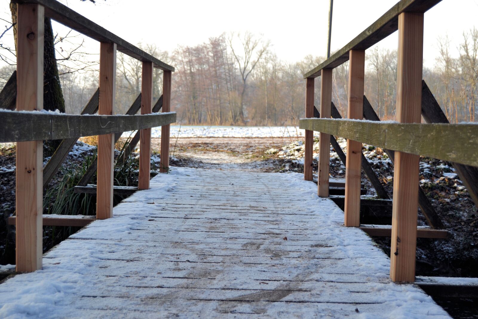 Nikon D3100 sample photo. Winter, web, vörstetten photography