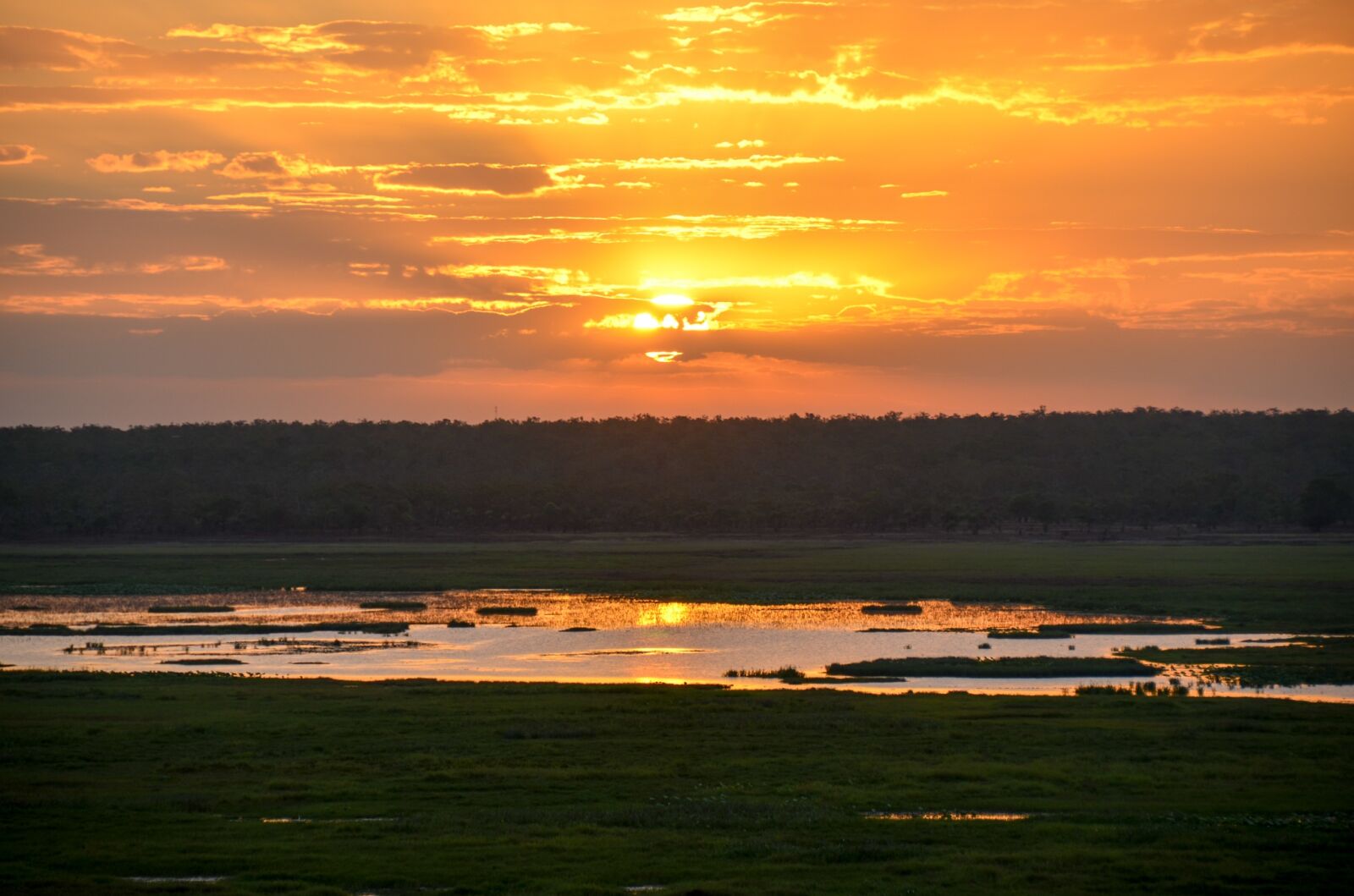 Nikon D5100 sample photo. Sunset, sunlight, kakadu photography