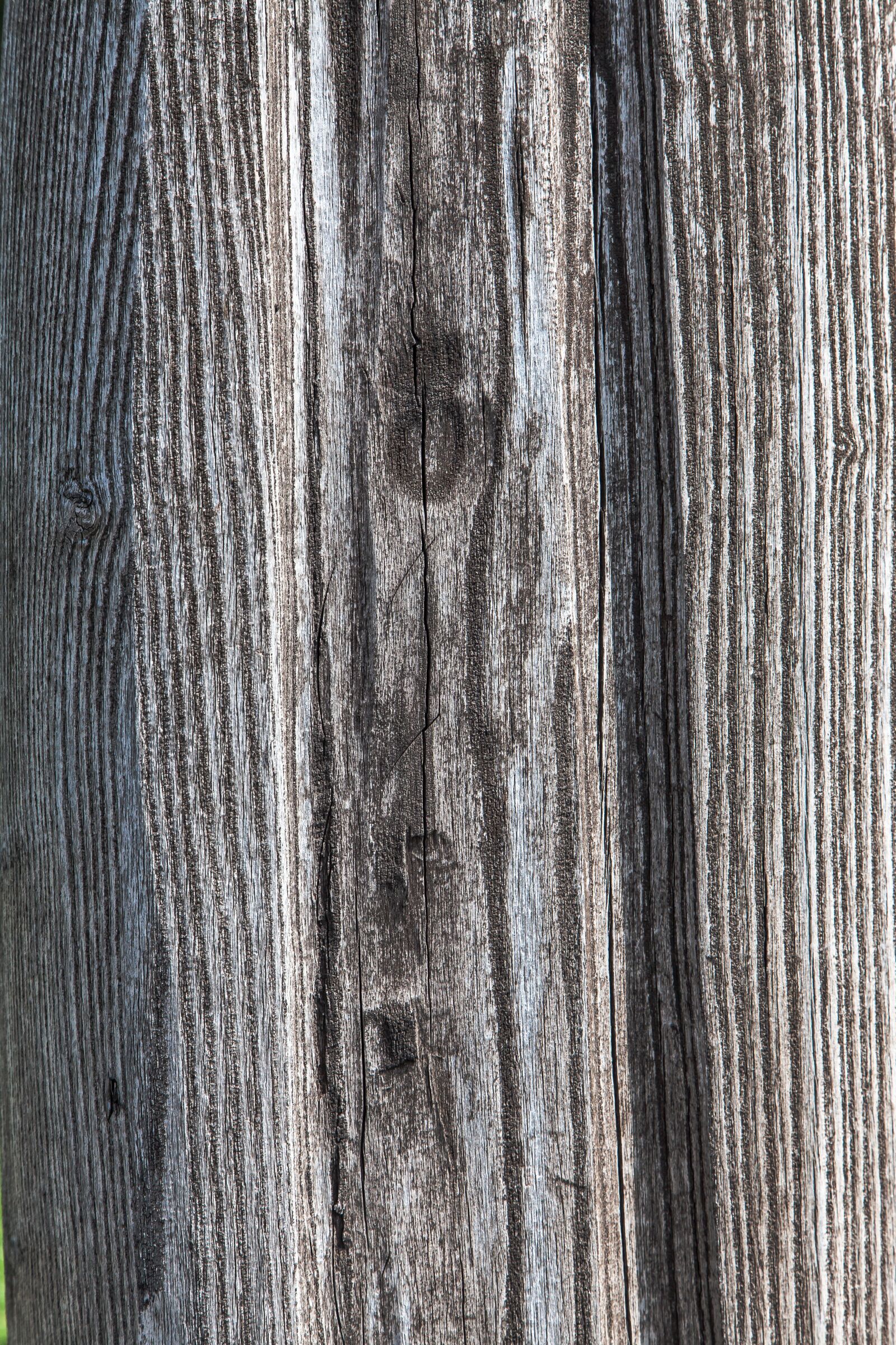 Canon EOS 5D Mark II sample photo. Wood, grain, wood texture photography