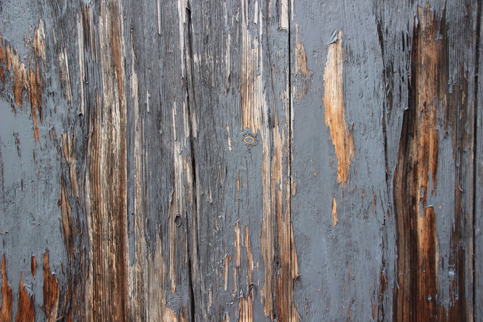 Canon EOS 600D (Rebel EOS T3i / EOS Kiss X5) sample photo. Background, texture, wood photography