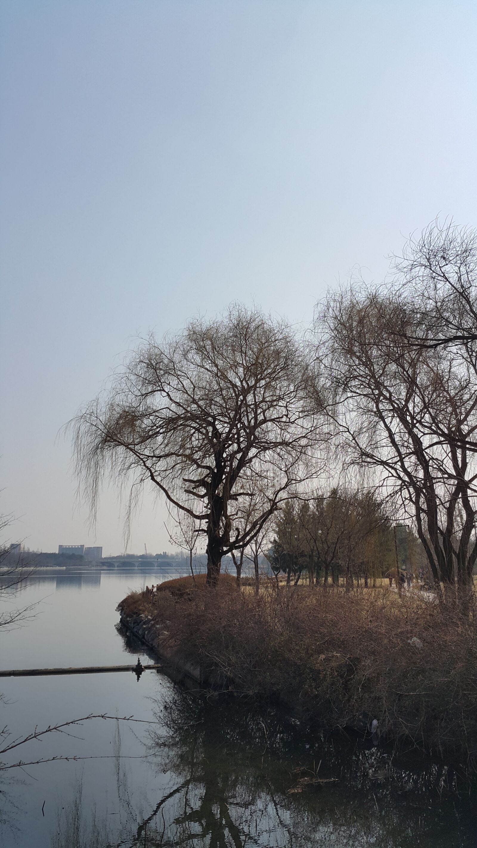 Samsung Galaxy Note4 sample photo. Nature, lake park, wood photography