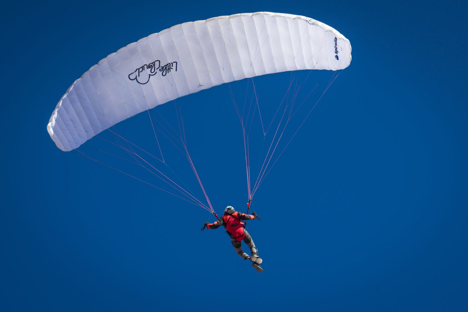 Sony a7R + Sony Vario Tessar T* FE 24-70mm F4 ZA OSS sample photo. Parachute, air, flying photography