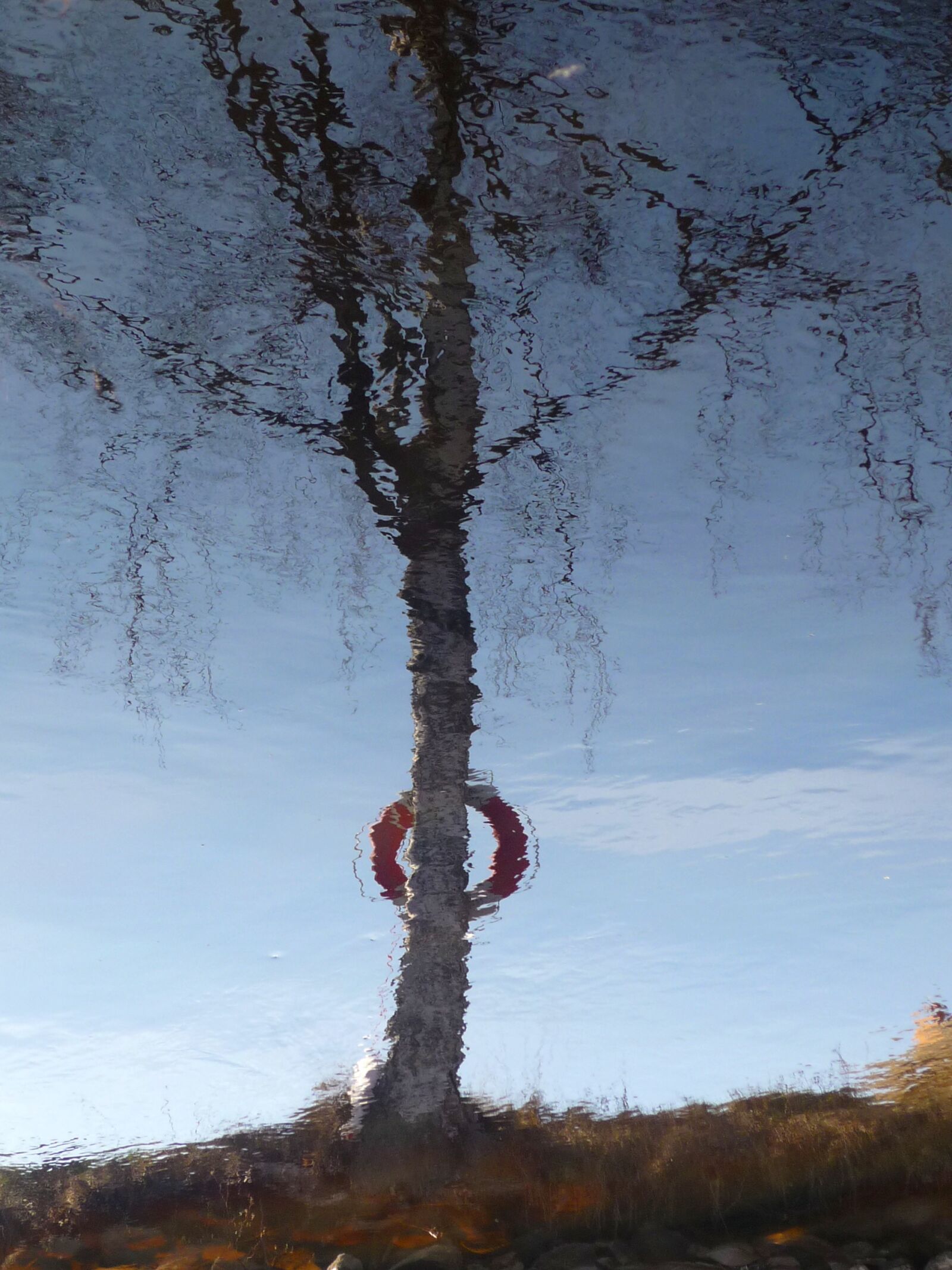 Panasonic Lumix DMC-FS3 sample photo. Mirror image, water, birch photography