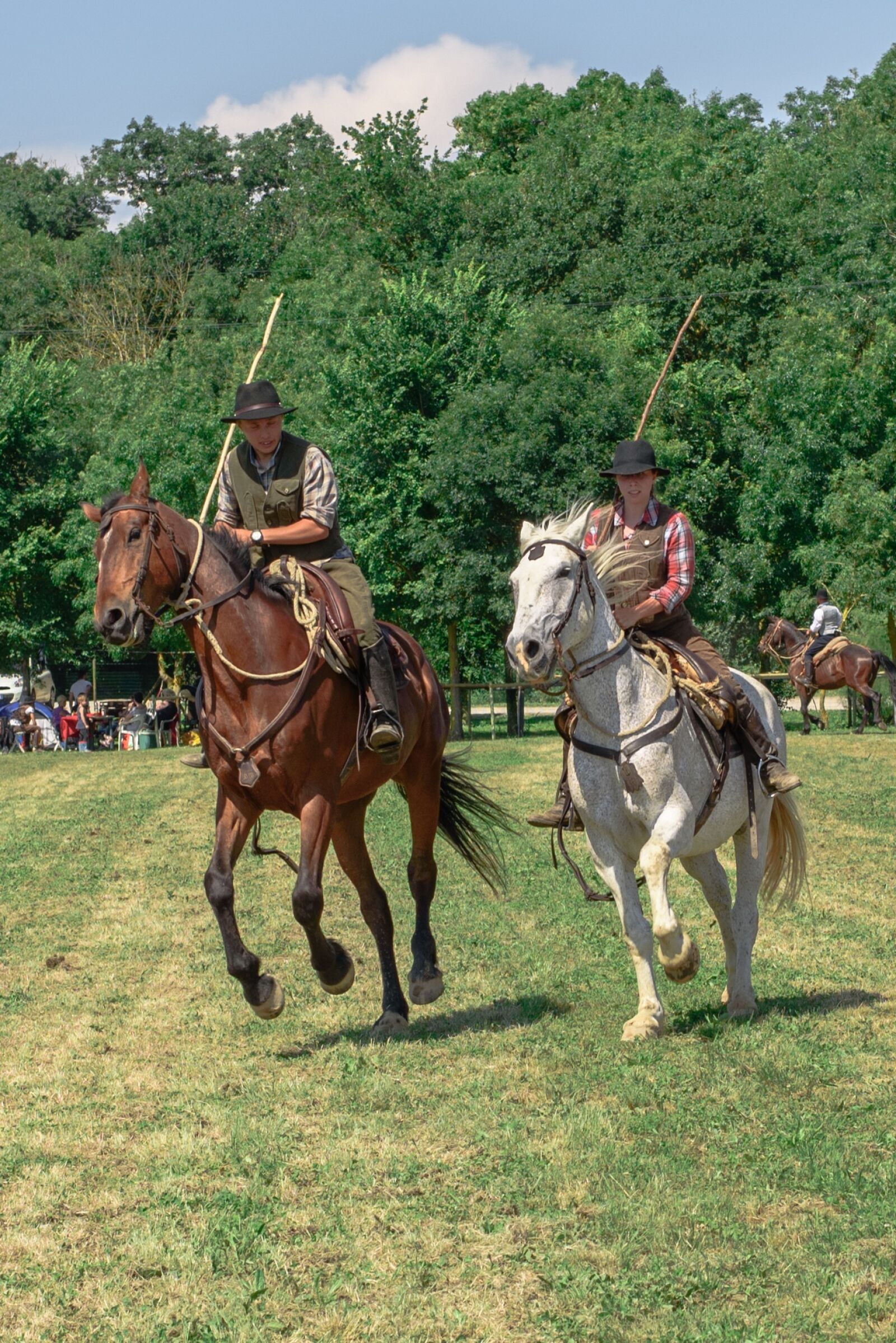 Nikon D750 sample photo. Horse, horses, couple photography