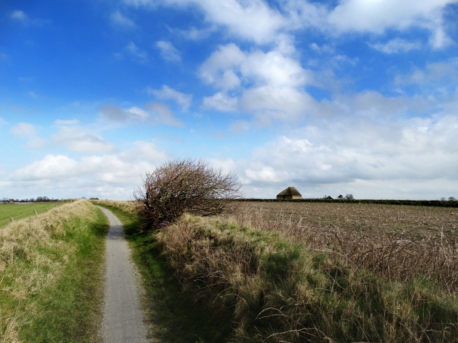Sony Cyber-shot DSC-HX300 sample photo. Landscape, leemkuil, nature, schapenboet photography