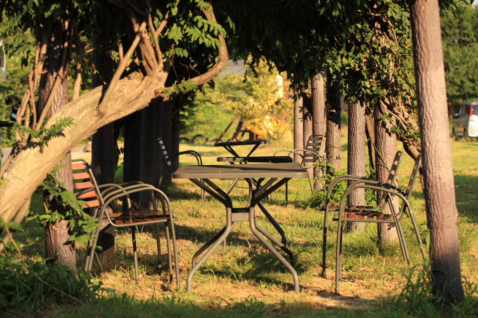 Canon EOS 5D Mark II sample photo. Chair, forest, table photography