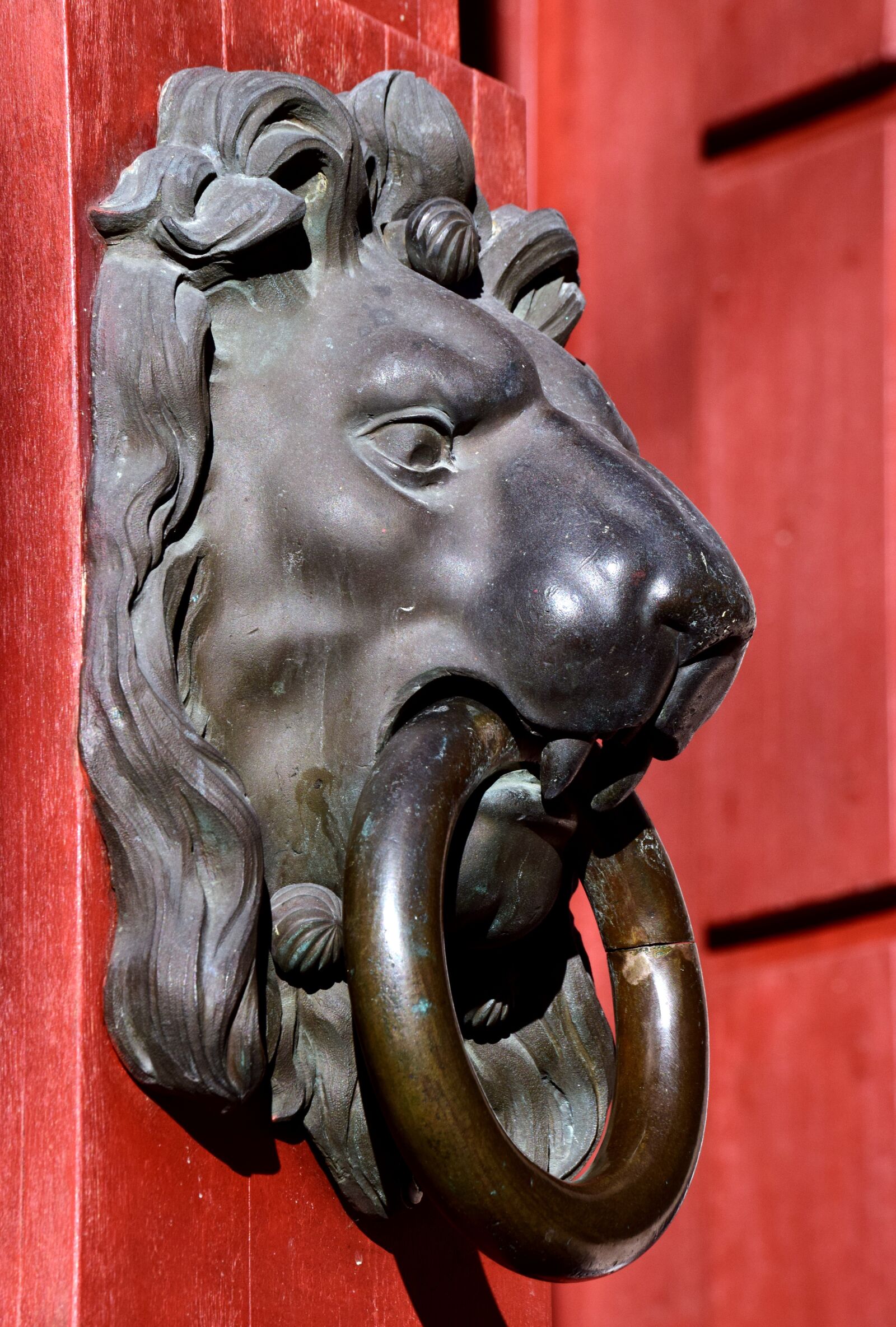 Nikon D3300 sample photo. Thumper, lion head, doorknocker photography