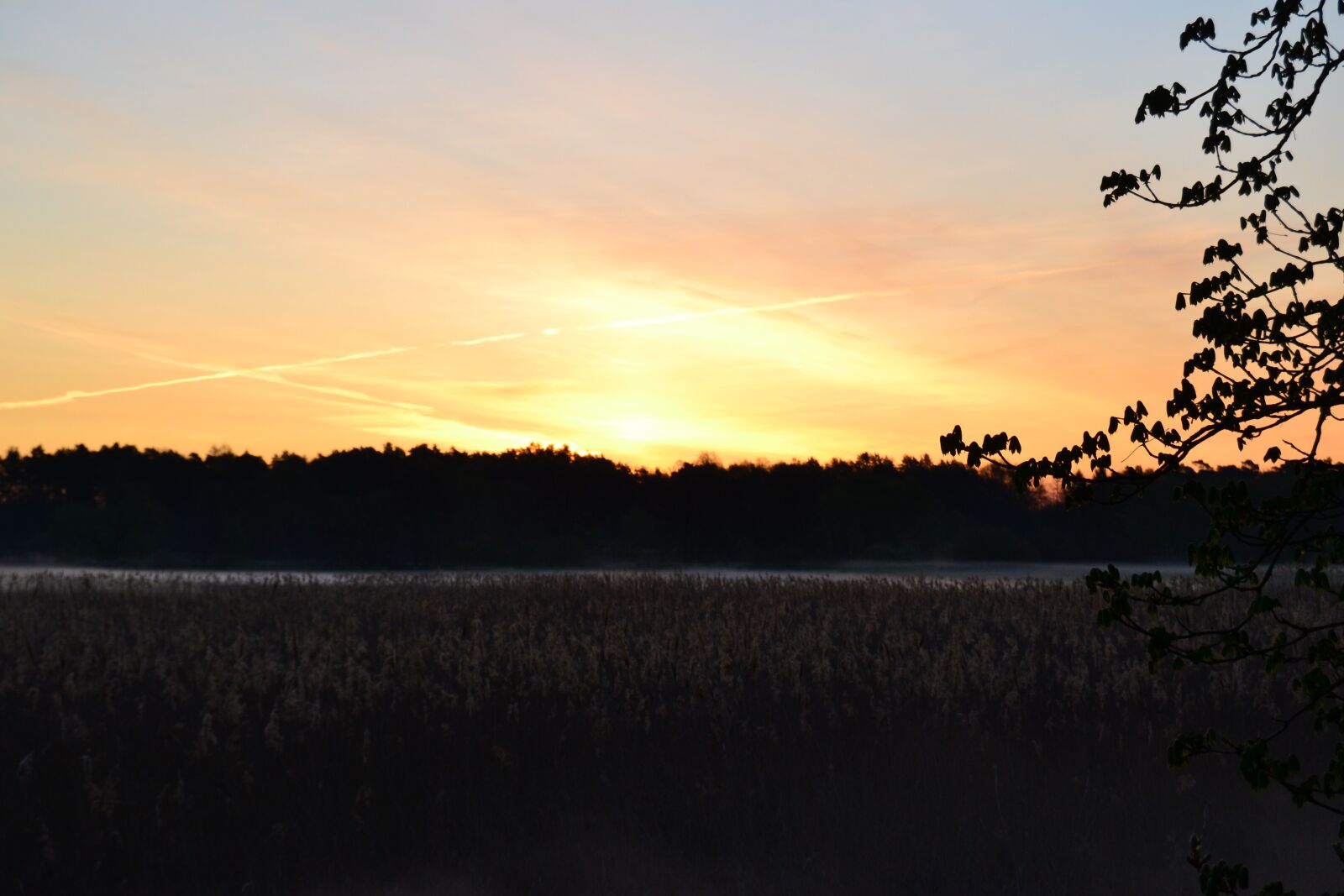 Nikon D3100 sample photo. Sun, emergence, sunrise photography