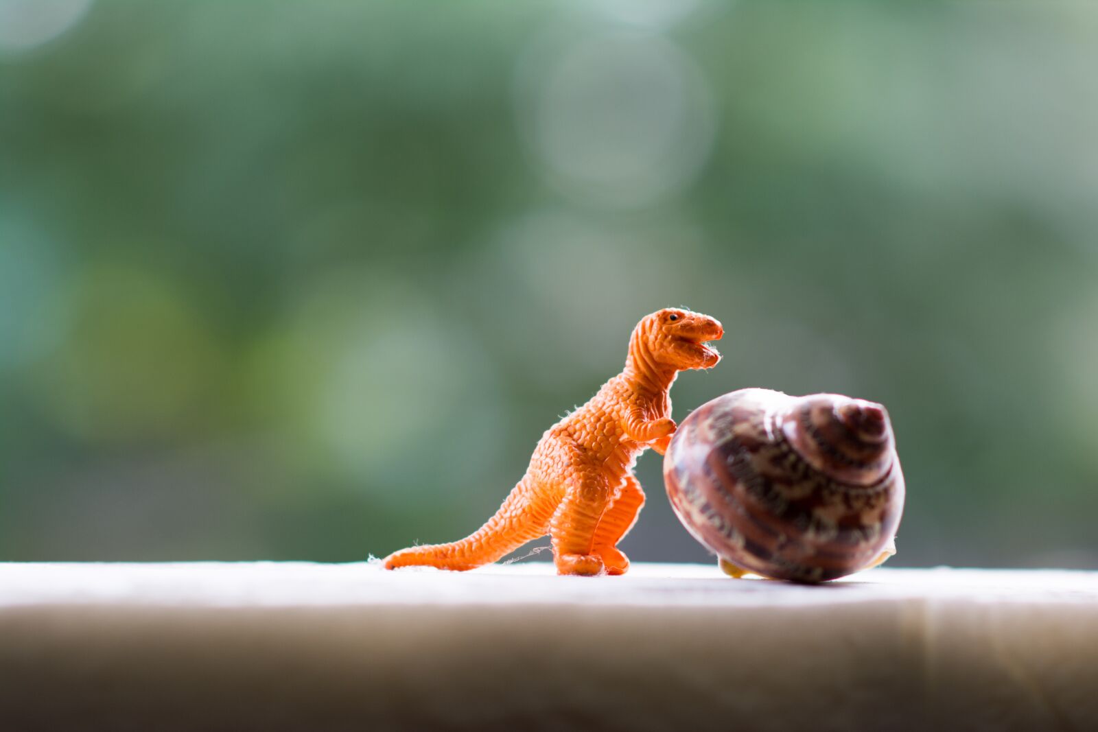 Nikon D5200 sample photo. Animal, toy, cute photography