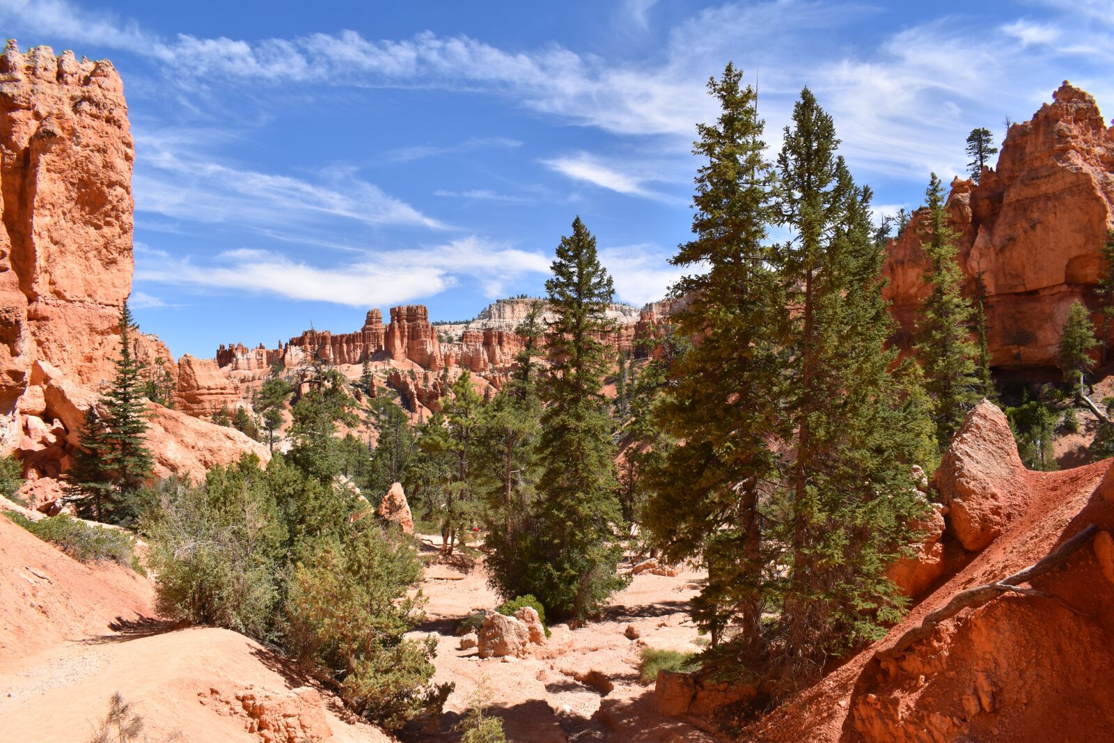 Nikon D5600 sample photo. Bryce, rock, geology photography