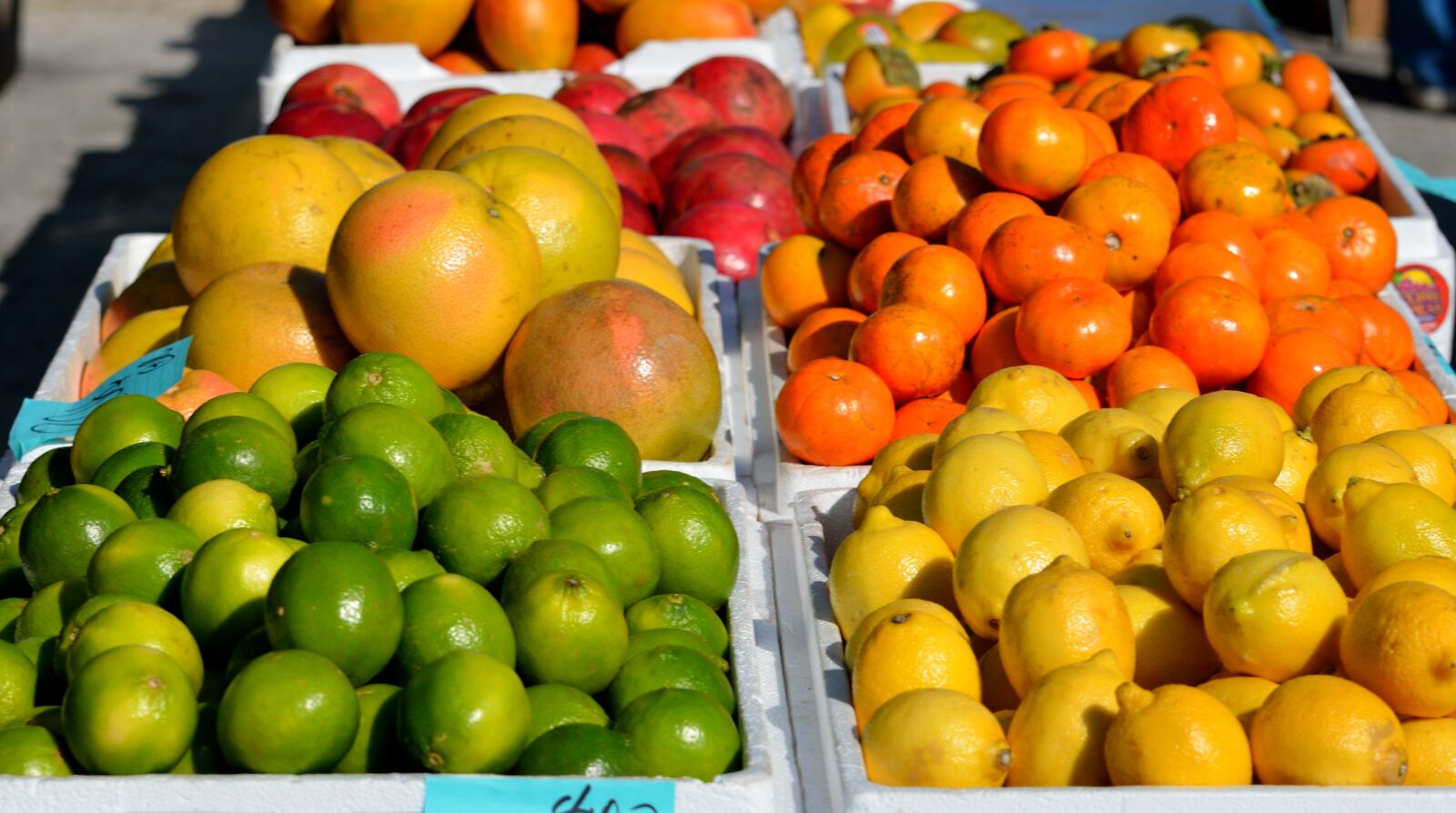 Nikon D7000 sample photo. Fruit for sale, oranges photography