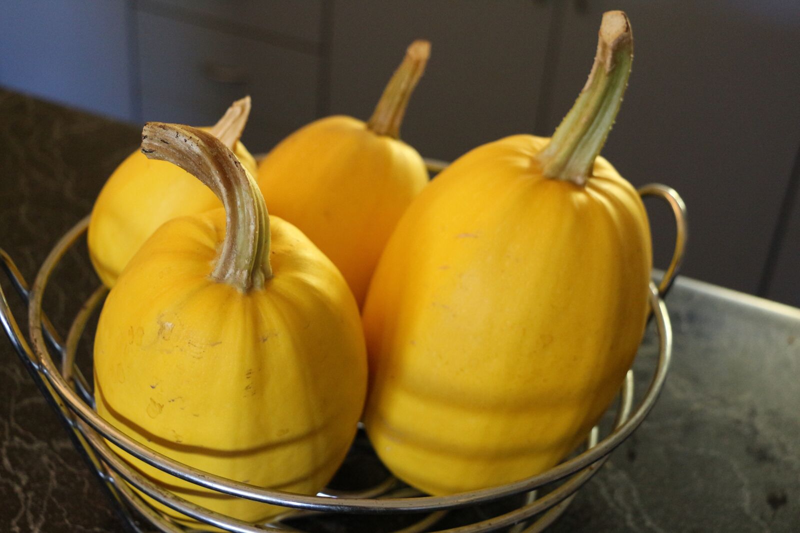 Canon EOS 650D (EOS Rebel T4i / EOS Kiss X6i) + Canon EF-S 18-135mm F3.5-5.6 IS STM sample photo. Spaghetti, squash, homegrown photography