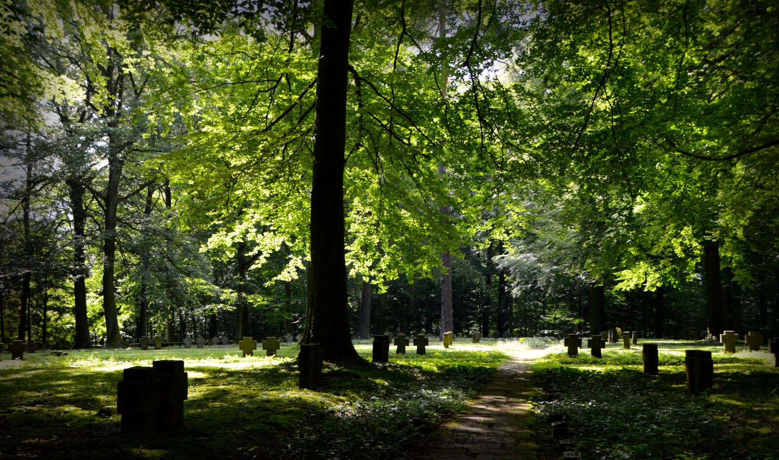 Nikon D3200 sample photo. Forest, commemorate, memory photography
