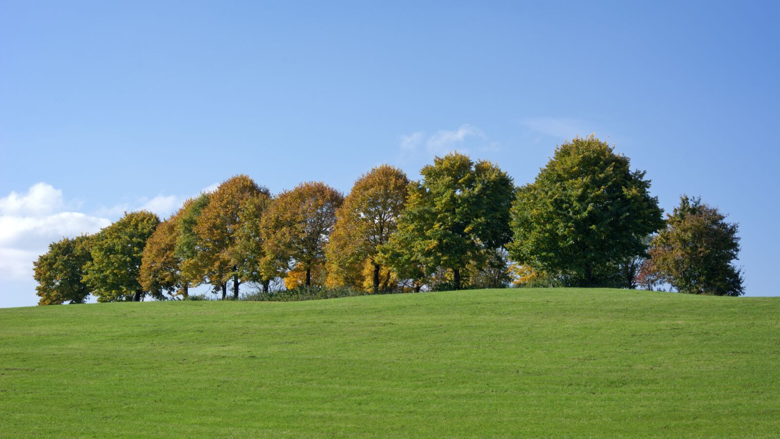 55.0-200.0mm f/4.0-f/5.6 sample photo. Autumn, trees, group photography