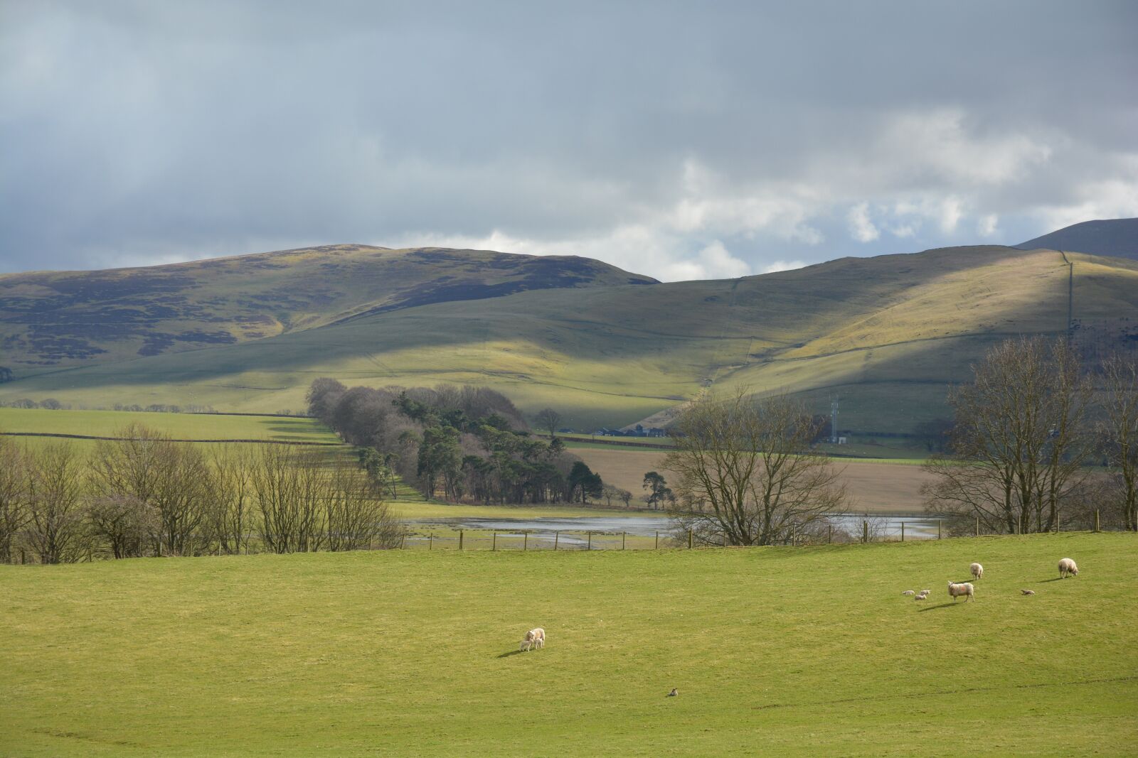 Nikon D5200 sample photo. Scottish, nature, landscape photography