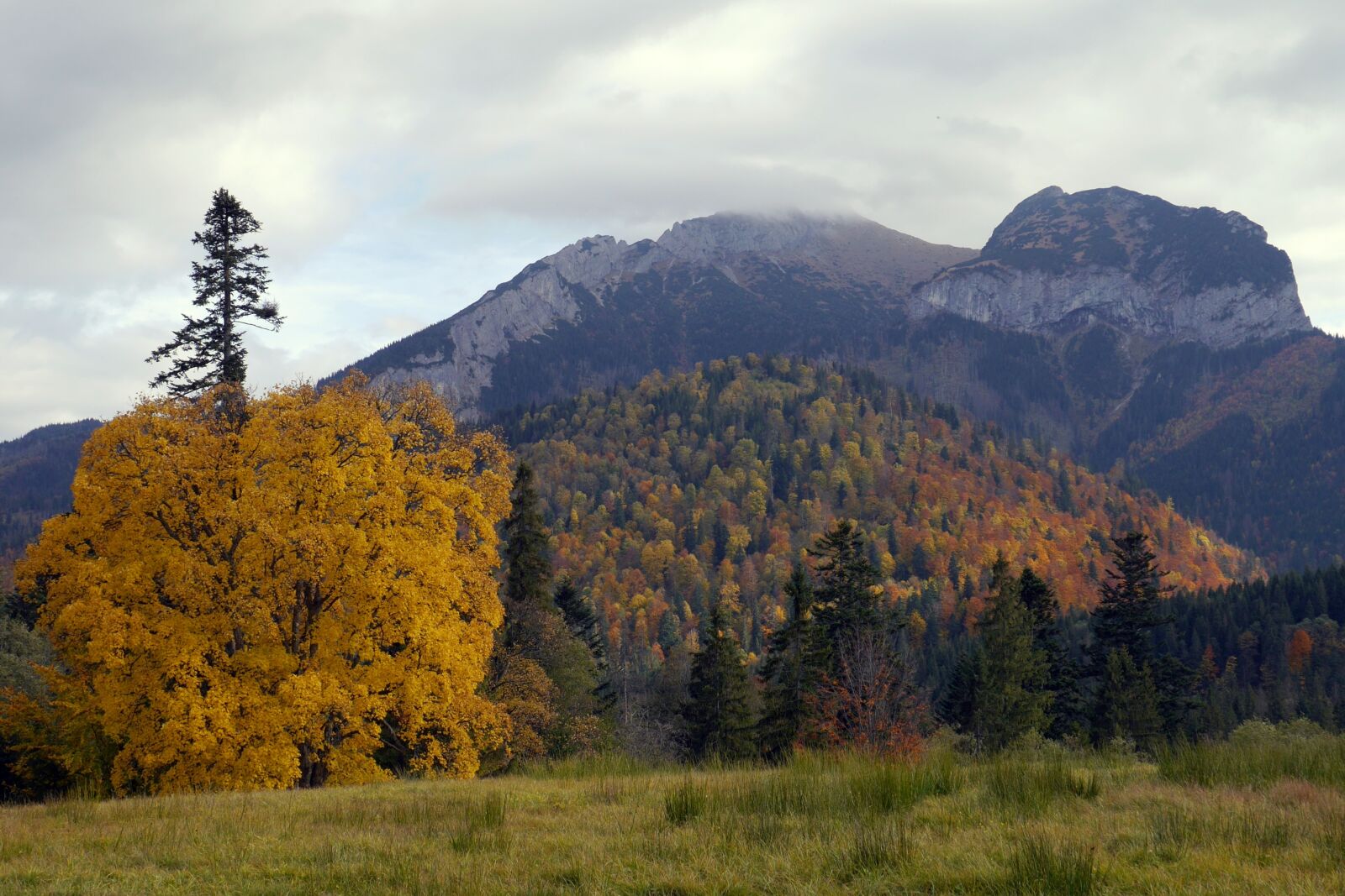 Panasonic Lumix DMC-G6 sample photo. Autumn, colors, mountains photography