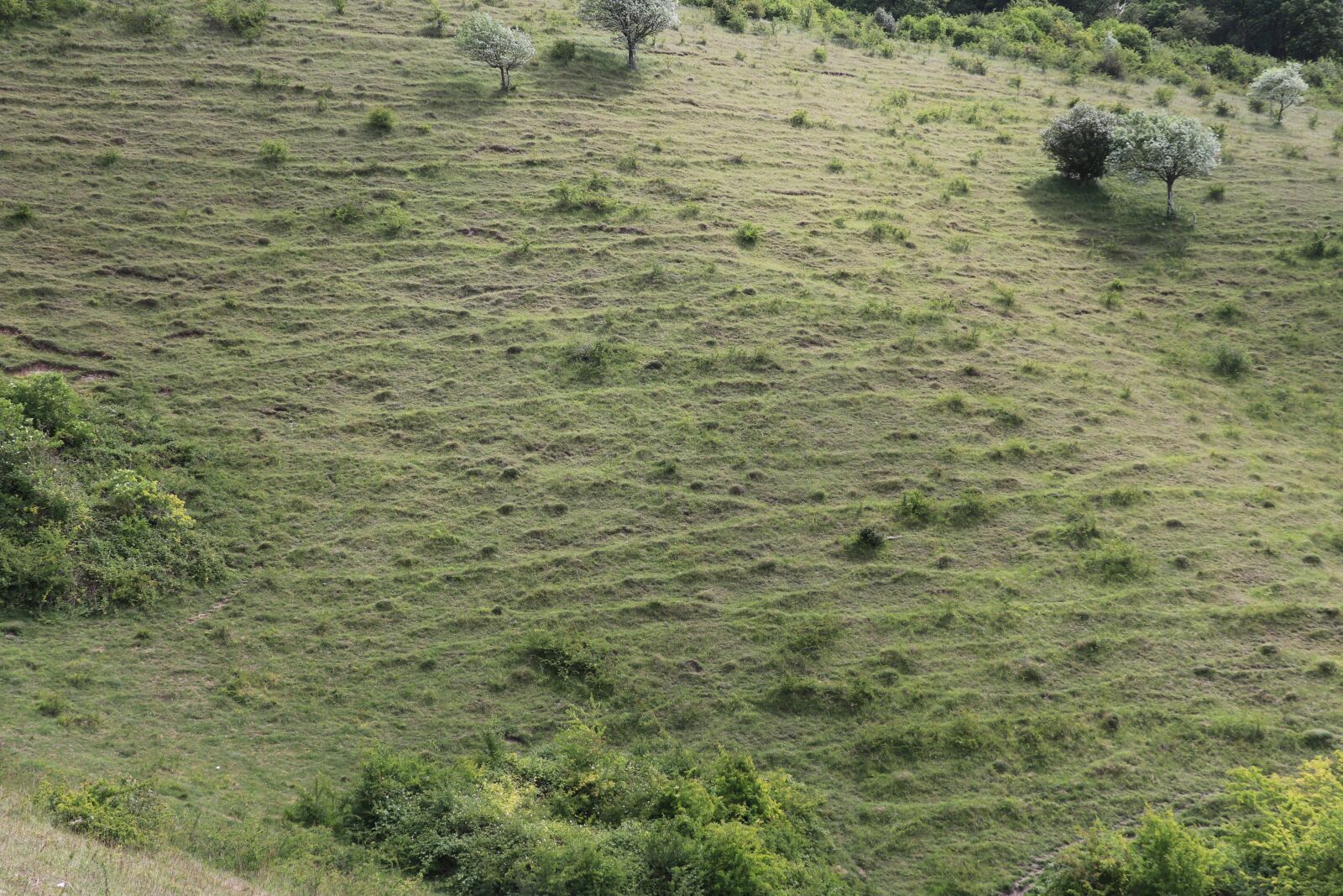 Canon EF-S 18-135mm F3.5-5.6 IS USM sample photo. Hill, grass, landscape photography