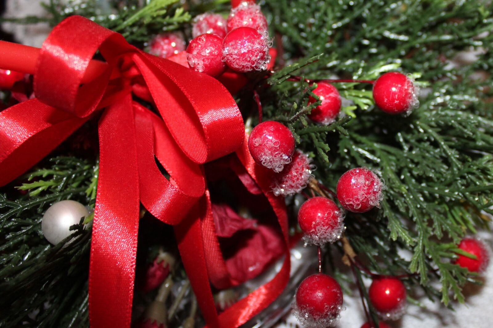 Canon EOS 1200D (EOS Rebel T5 / EOS Kiss X70 / EOS Hi) sample photo. Reed, ornament, decoration photography