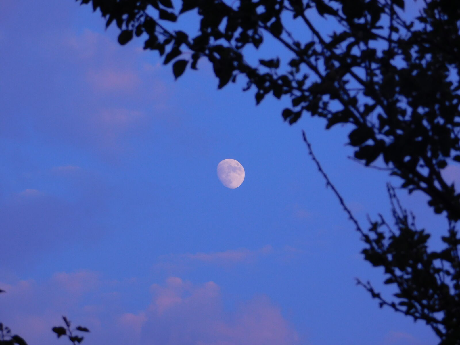 Nikon Coolpix L840 sample photo
