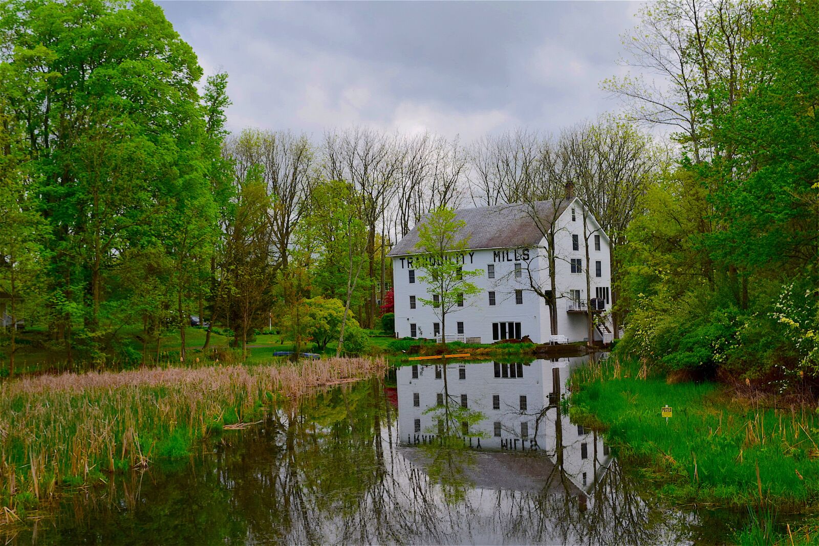Nikon D3300 sample photo. House, water, trees photography