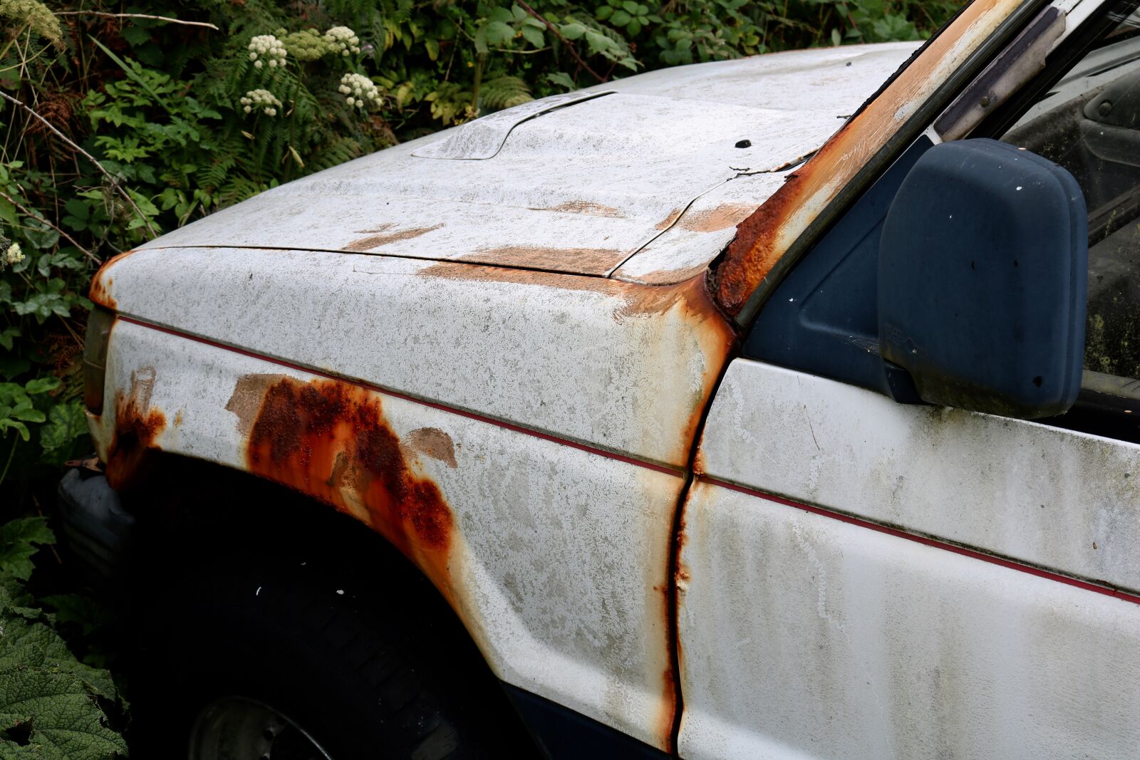 Canon EOS 750D (EOS Rebel T6i / EOS Kiss X8i) sample photo. Wreck, auto, rusted photography