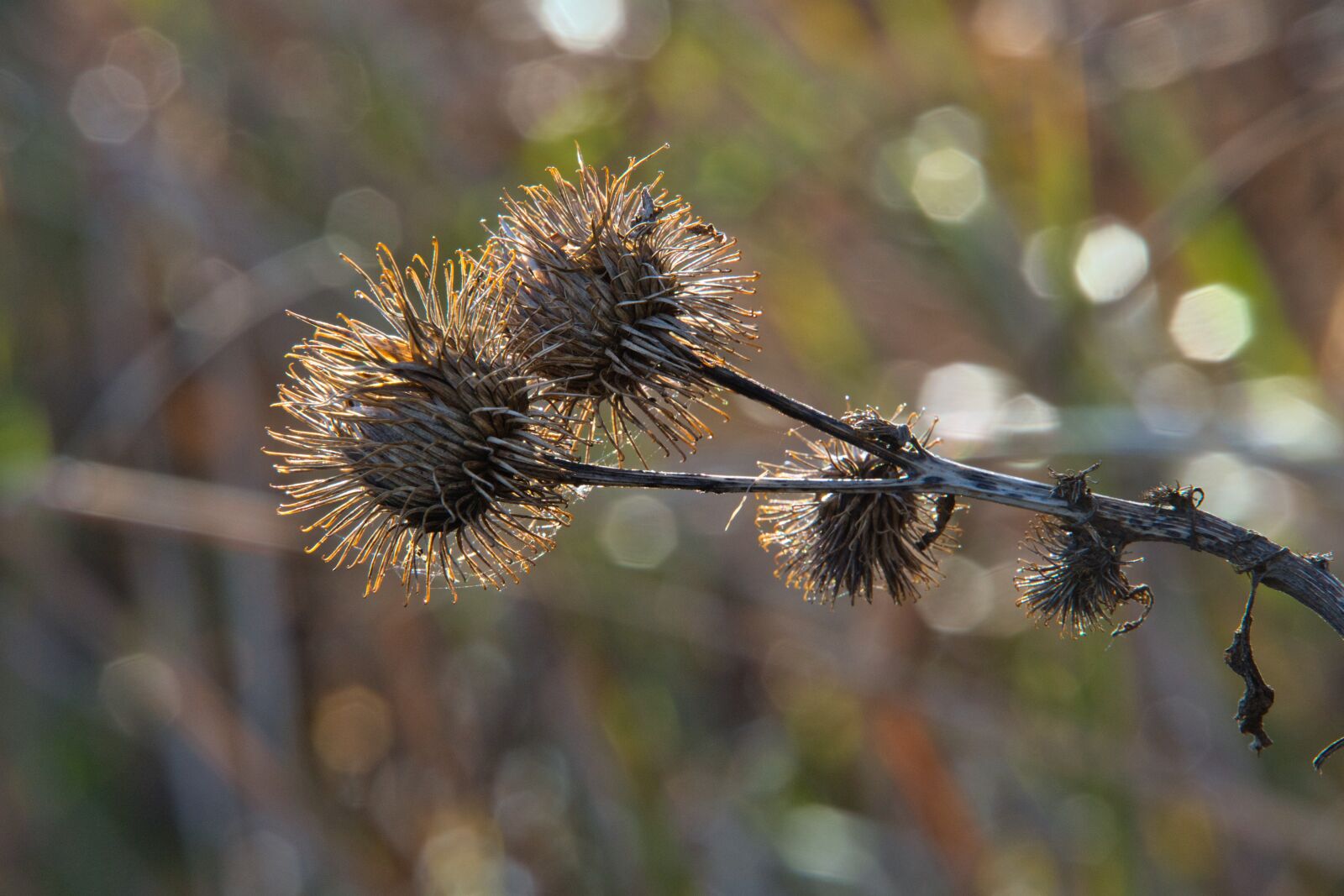 Sony a6400 sample photo. Hook and loop closure photography