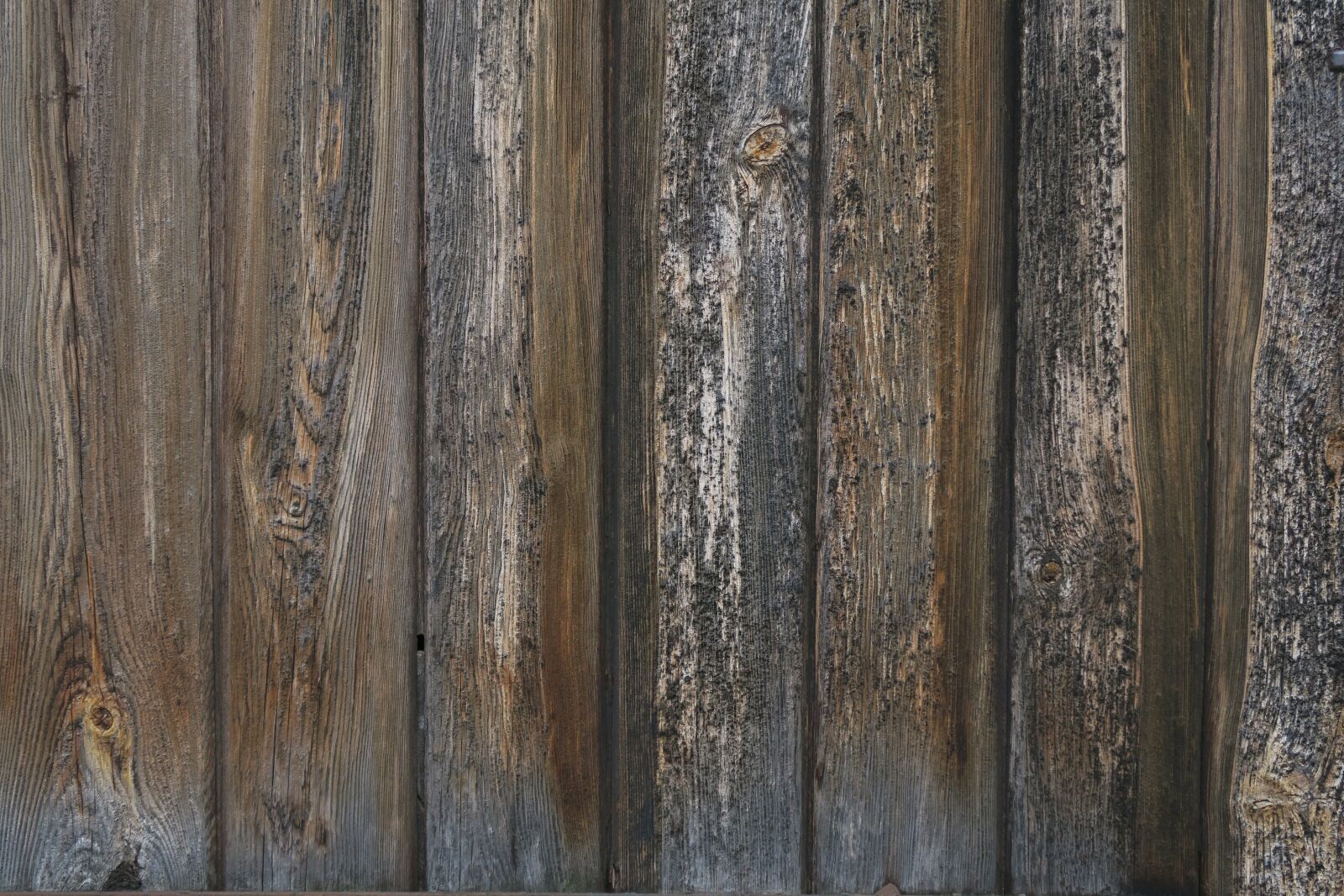 Canon PowerShot G7 X sample photo. Wood, wall, fence photography