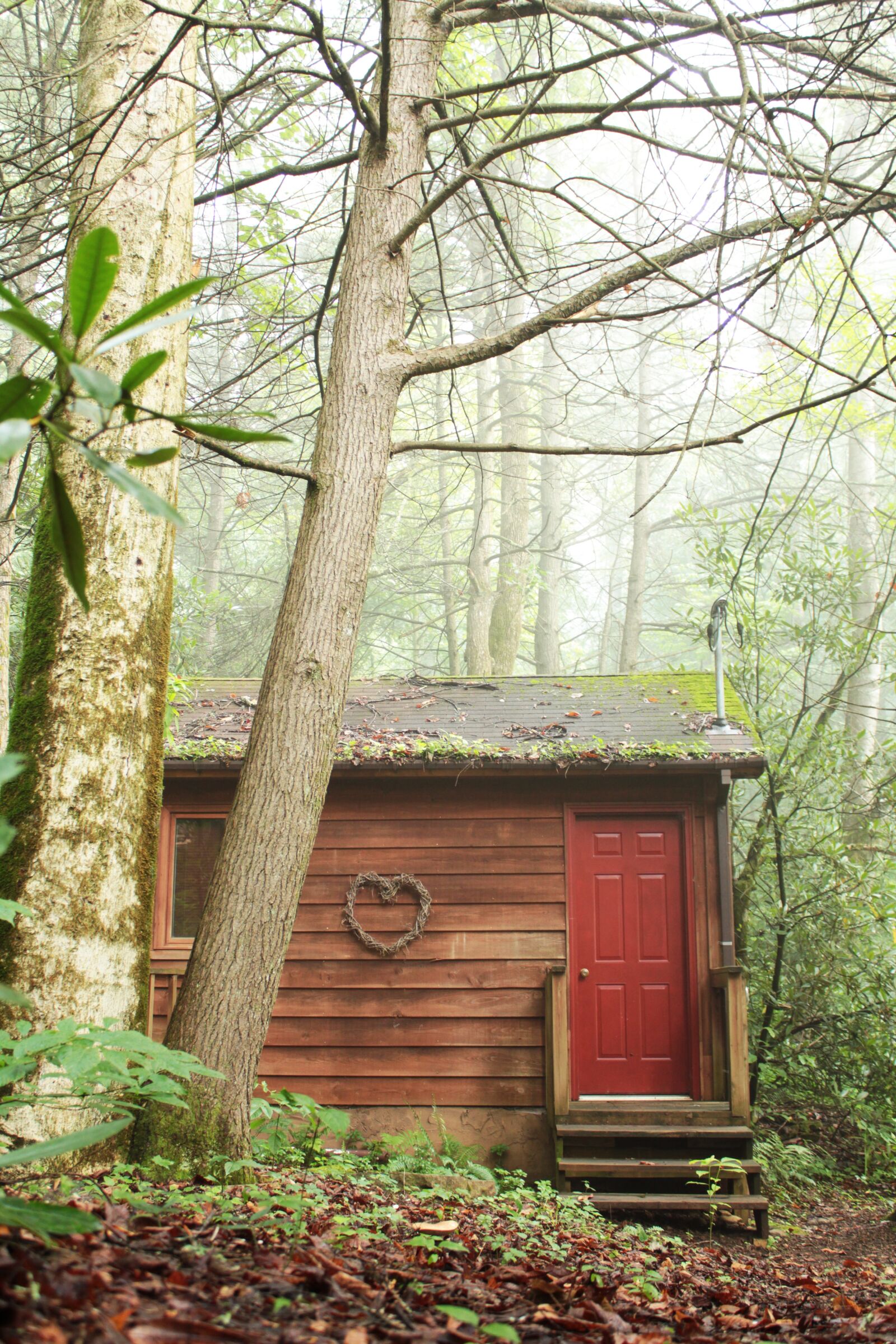 Canon EOS 550D (EOS Rebel T2i / EOS Kiss X4) sample photo. Wood, cabin, love nest photography