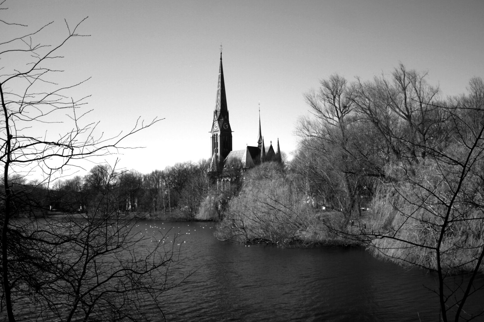 Canon EOS 1000D (EOS Digital Rebel XS / EOS Kiss F) sample photo. Reflection, tree, river photography