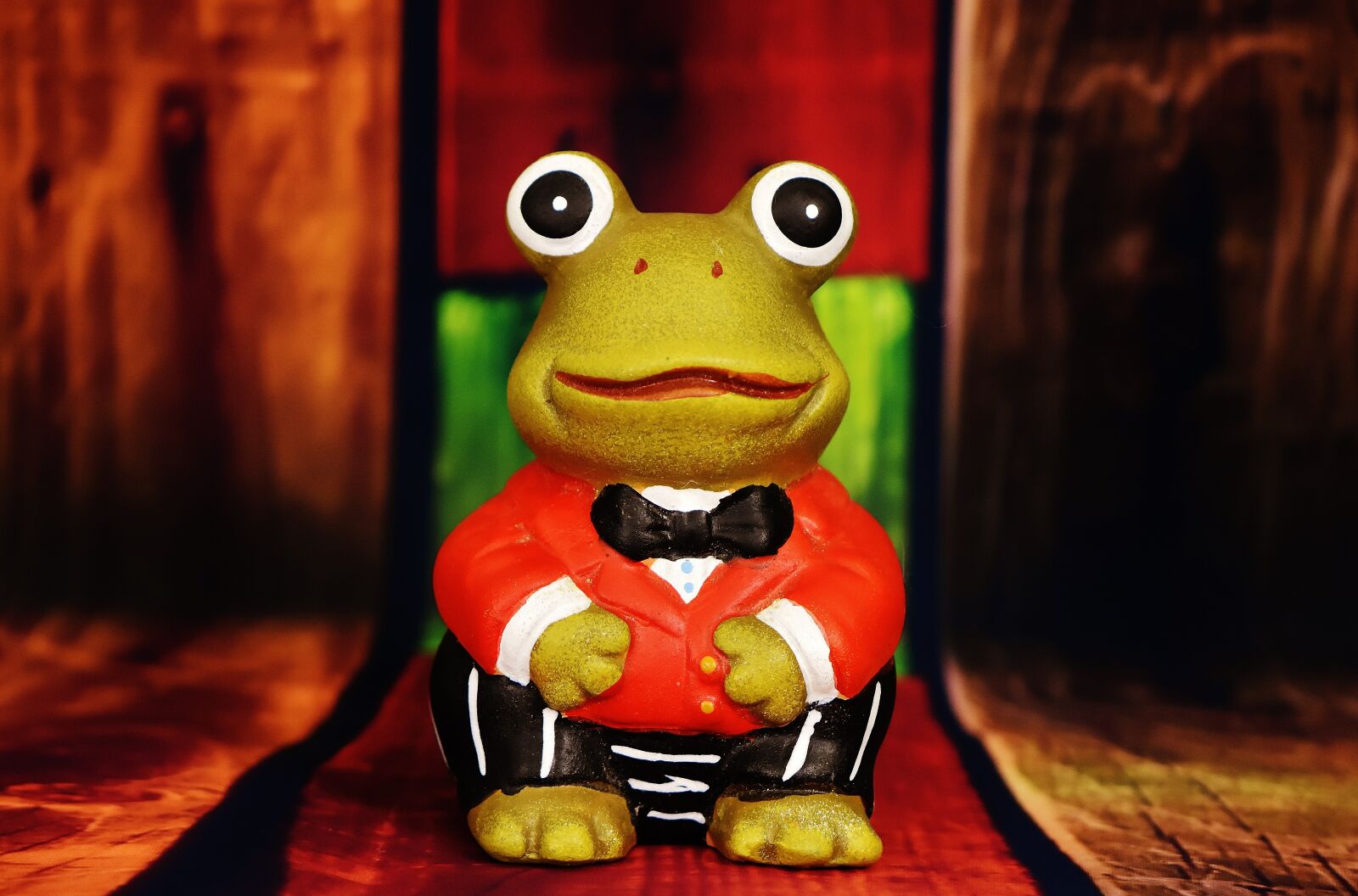 Nikon D7200 sample photo. Frog, figure, funny photography