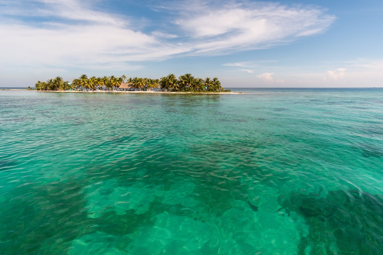 Fujifilm X-T2 sample photo. Laughing bird, caye, coral photography