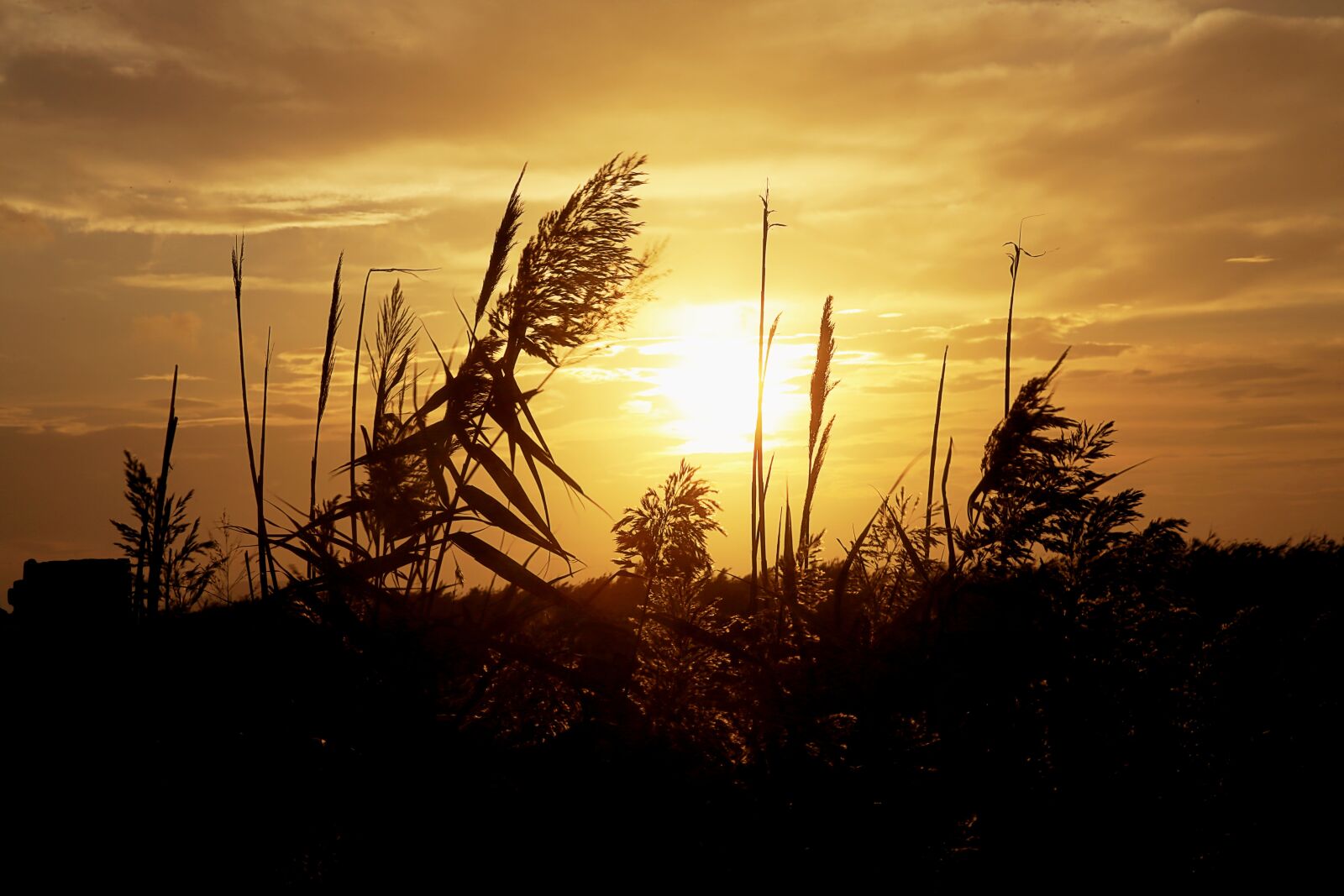 Canon EOS 5D Mark III sample photo. Sun, color, contrast photography