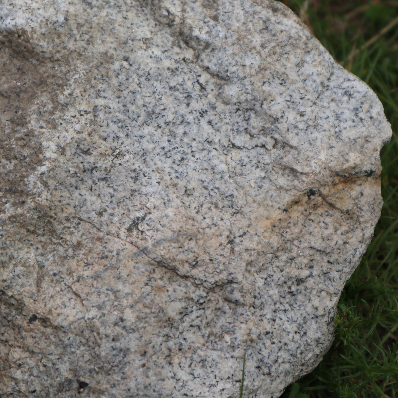 Canon EOS M100 sample photo. Stone, boulder, nature photography