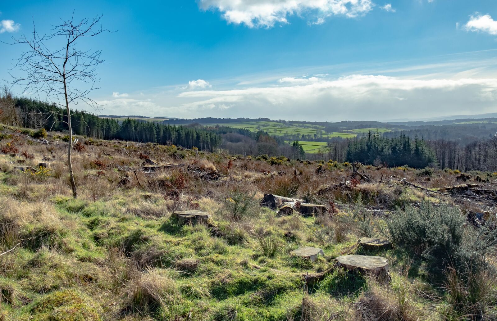 Fujifilm X-T3 sample photo. Scotland, hills, landscape photography