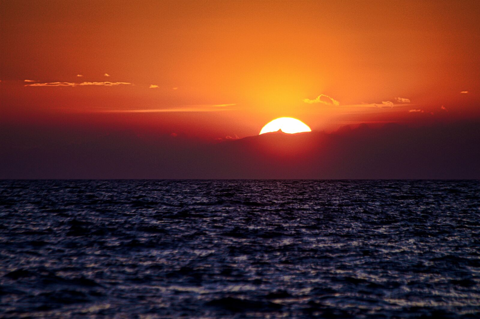Sony SLT-A58 sample photo. Sunset, background, summer photography