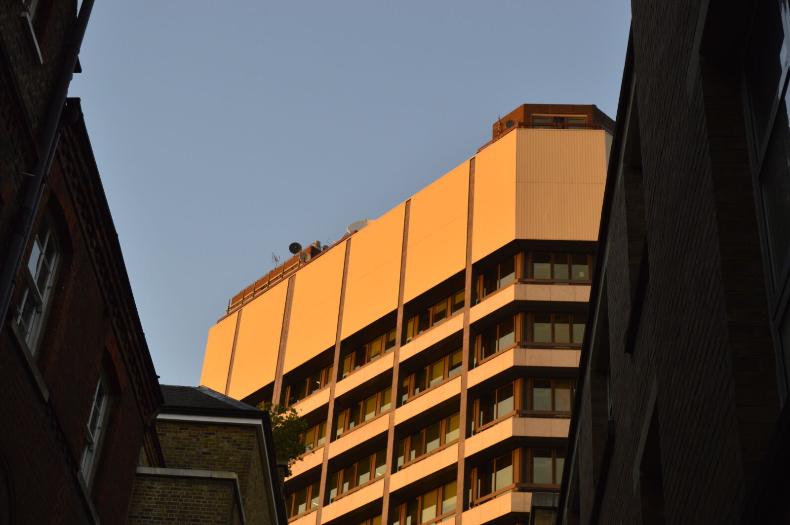 Nikon D3200 sample photo