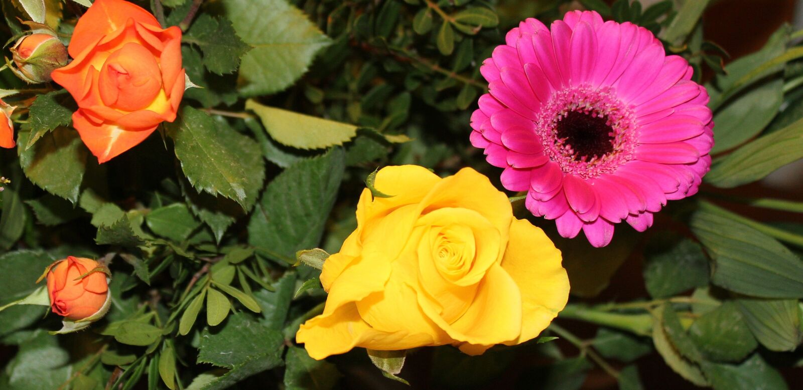 Canon EOS 550D (EOS Rebel T2i / EOS Kiss X4) sample photo. Flowers, bouquet, blossom photography