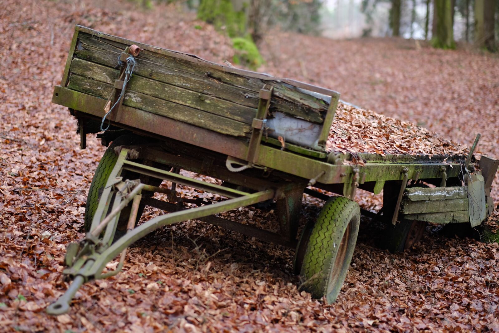 Fujifilm X-T2 + Fujifilm XF 56mm F1.2 R sample photo. Wood, agriculture, cart photography