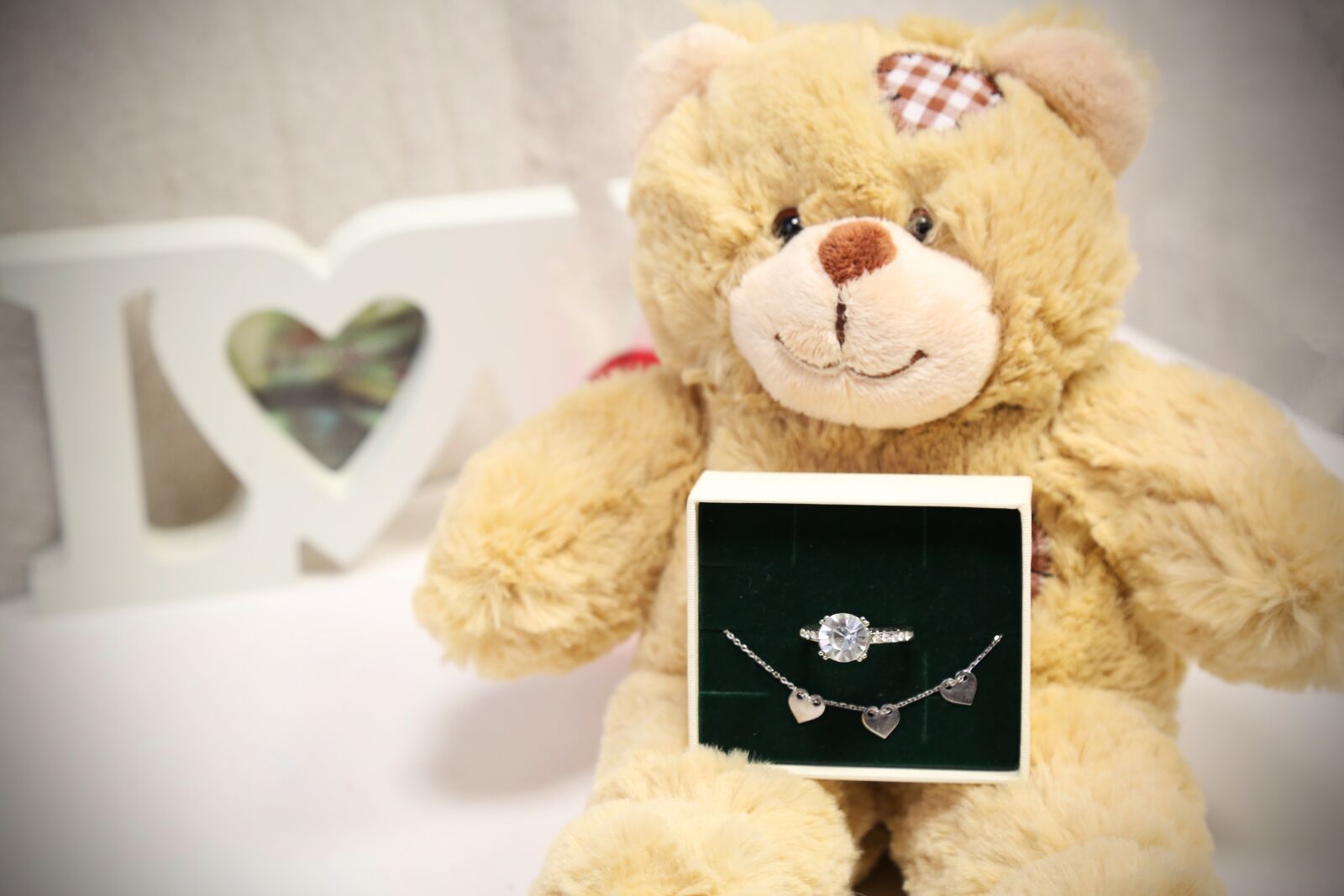 Canon EOS 5D Mark III sample photo. Teddy, jewellery, love photography
