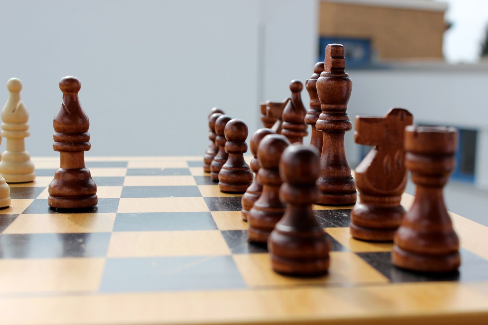 Canon EOS 600D (Rebel EOS T3i / EOS Kiss X5) sample photo. Chess, play, king photography