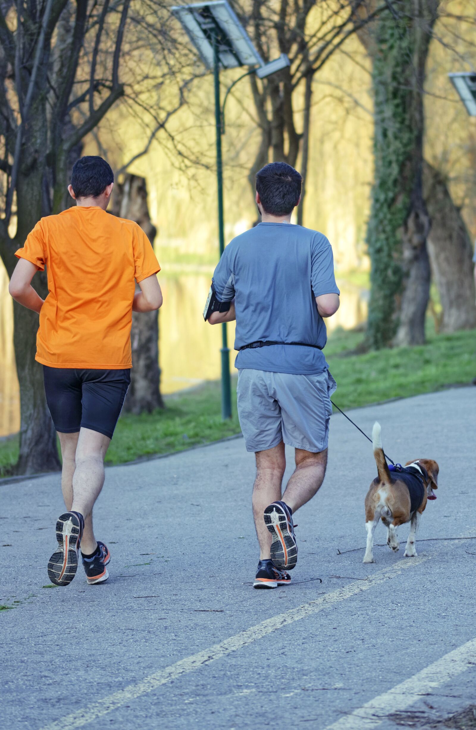 Nikon D5300 sample photo. Men, young people, dog photography