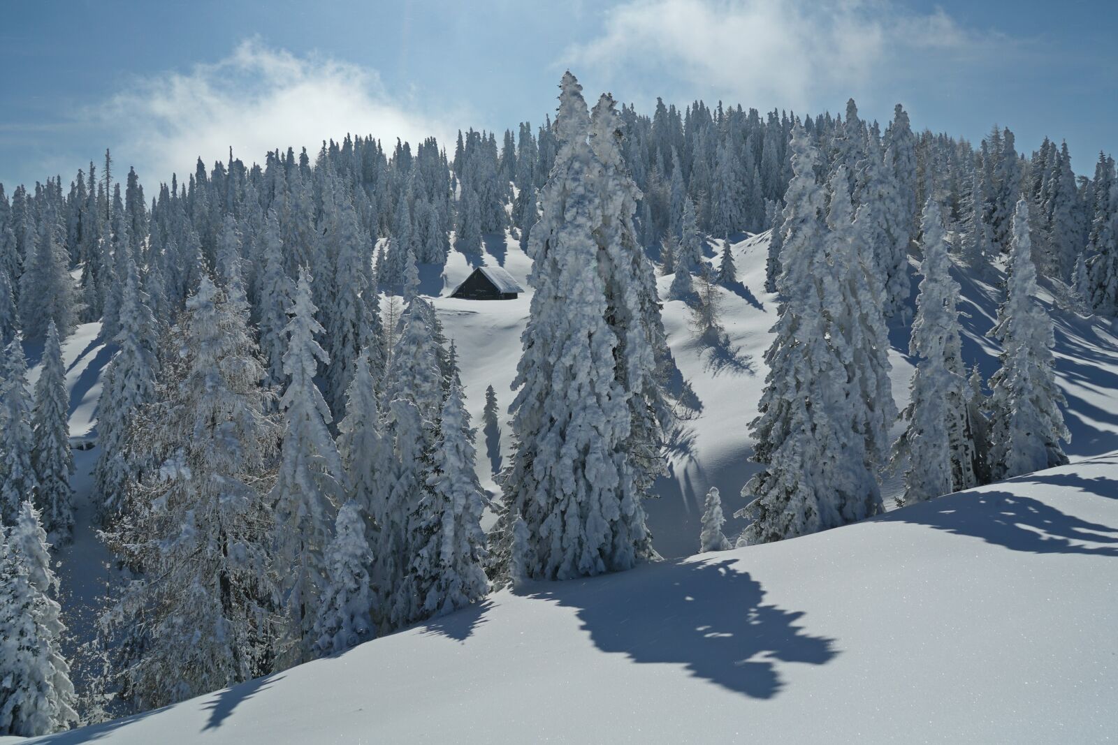 Sony a7R II + Sony Vario Tessar T* FE 24-70mm F4 ZA OSS sample photo. Snow, winter, mountain photography