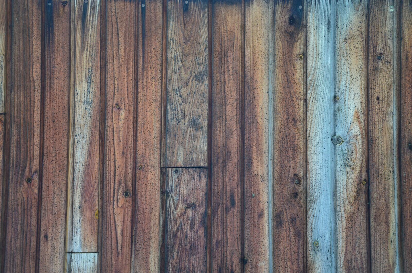 Nikon D3200 sample photo. Wood, old, textures photography