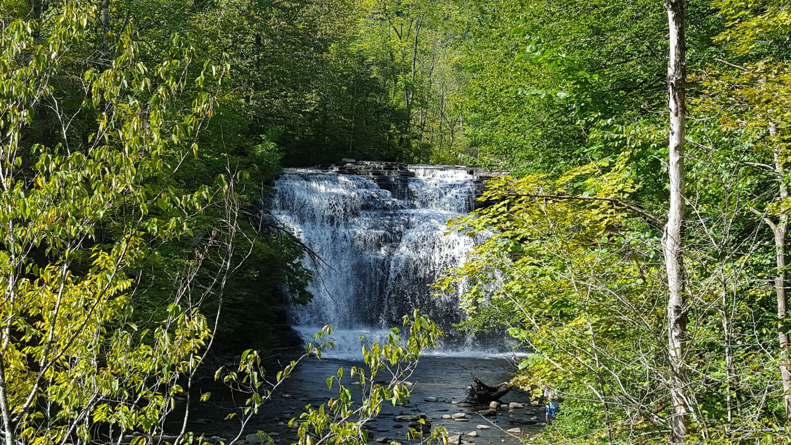 Samsung Galaxy S6 sample photo. Pixley falls, waterfall, creek photography