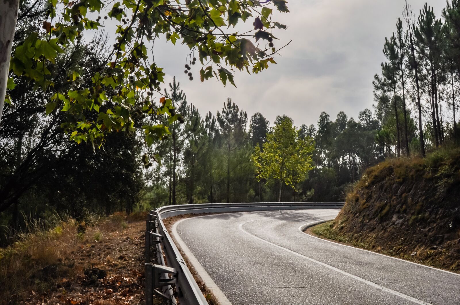 Nikon D90 sample photo. Road, curve, corner photography