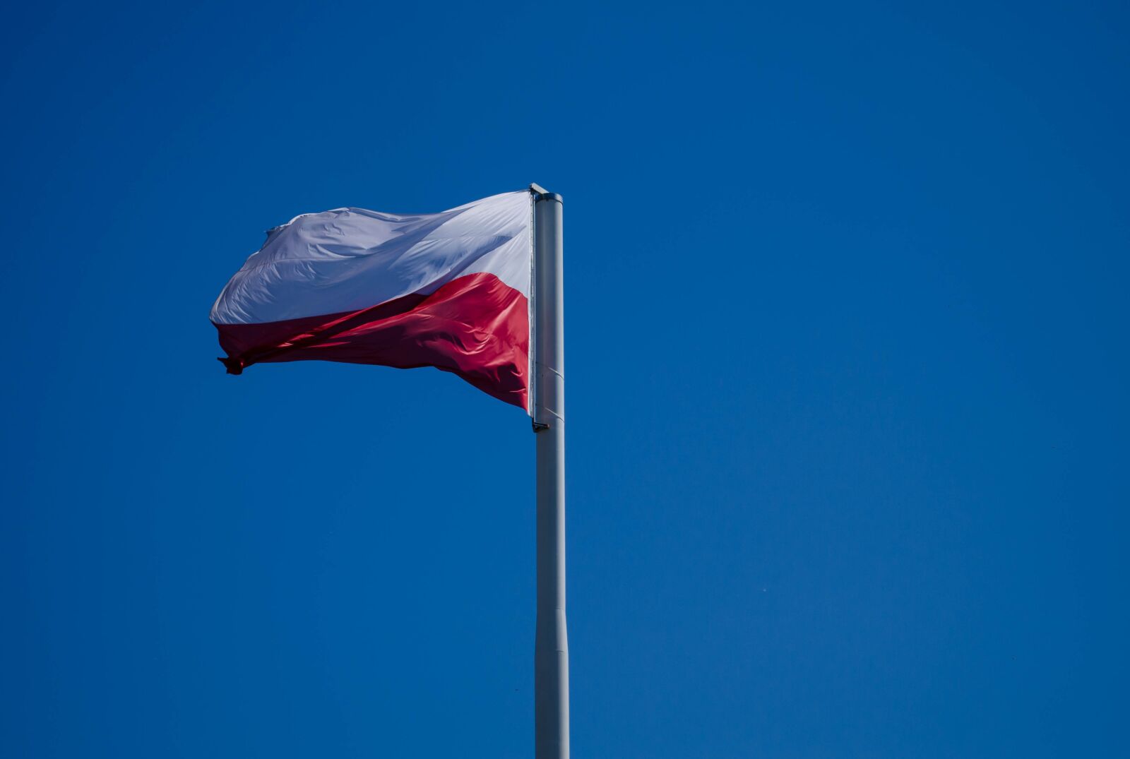 Nikon D5100 sample photo. Polish flag, symbol, white-red photography