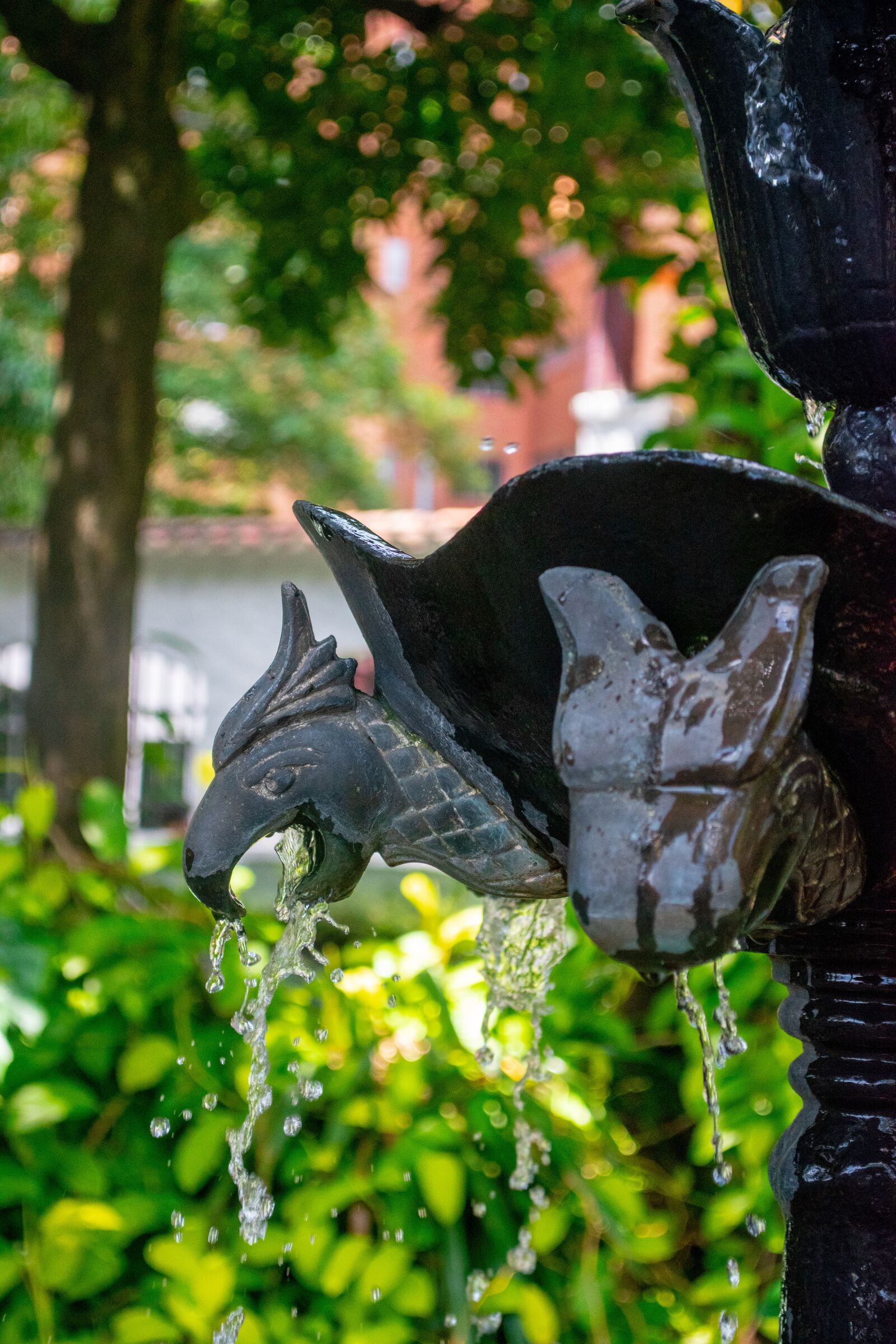Nikon D5600 sample photo. Source, frozen water, sculpture photography